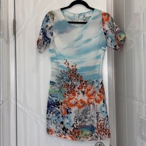 Floral shirt sleeve dress
